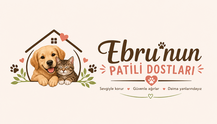 ebrununpatilidostlari.com